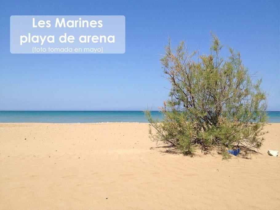 Piso Bajo 3 Habitaciones 2 Banos Y Gran Terraza Denia Dış mekan fotoğraf